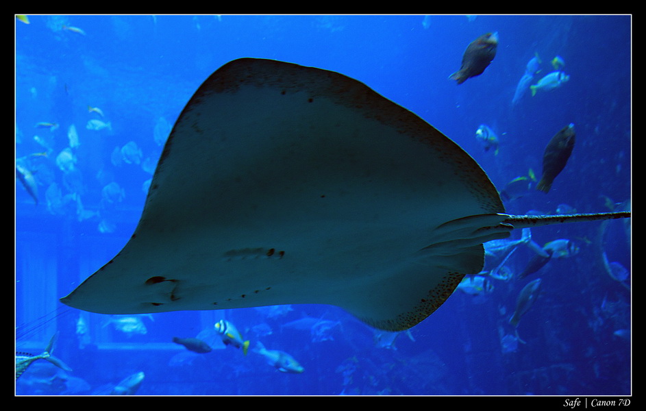 2012 - 06 - Dubai - 038